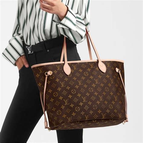 louis vuitton bag with money